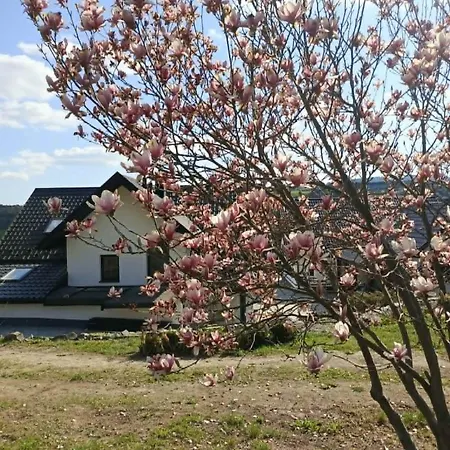 Dom W Chomranicach- Jacuzzi, Grillowy Apartament *